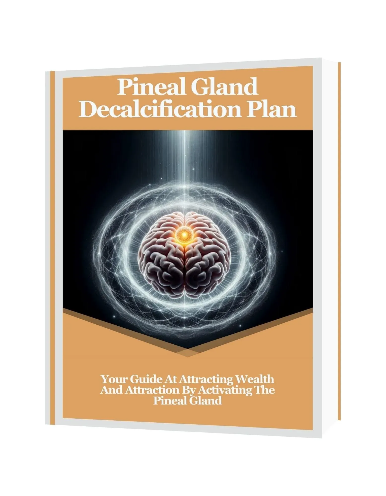 The Last Wish Pineal Gland Decalcification Plan bonus cover